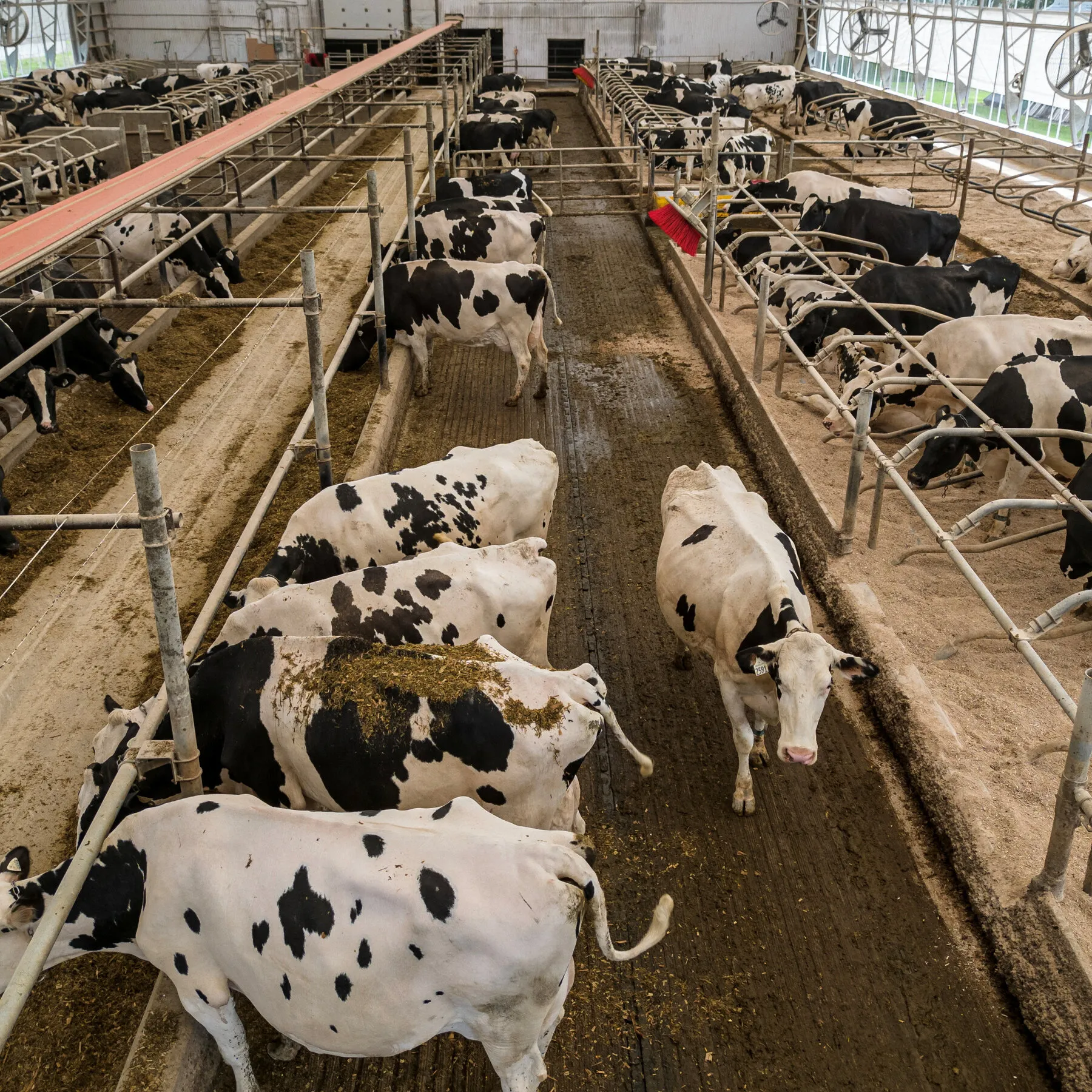 US Bans Canadian Alcohol and Dairy Imports Amid Escalating Trade Dispute