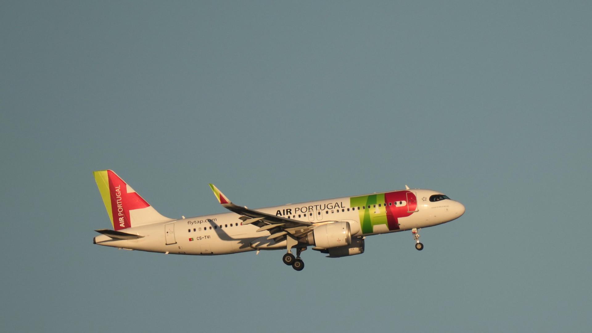 Lufthansa wins contest for minority stake in Portugal's TAP airline