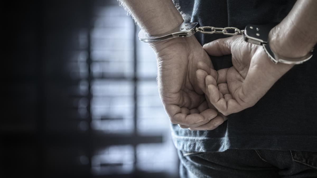 Illinois Teen Charged Over Alleged Mass Shooting Plot Against Hindu Temple