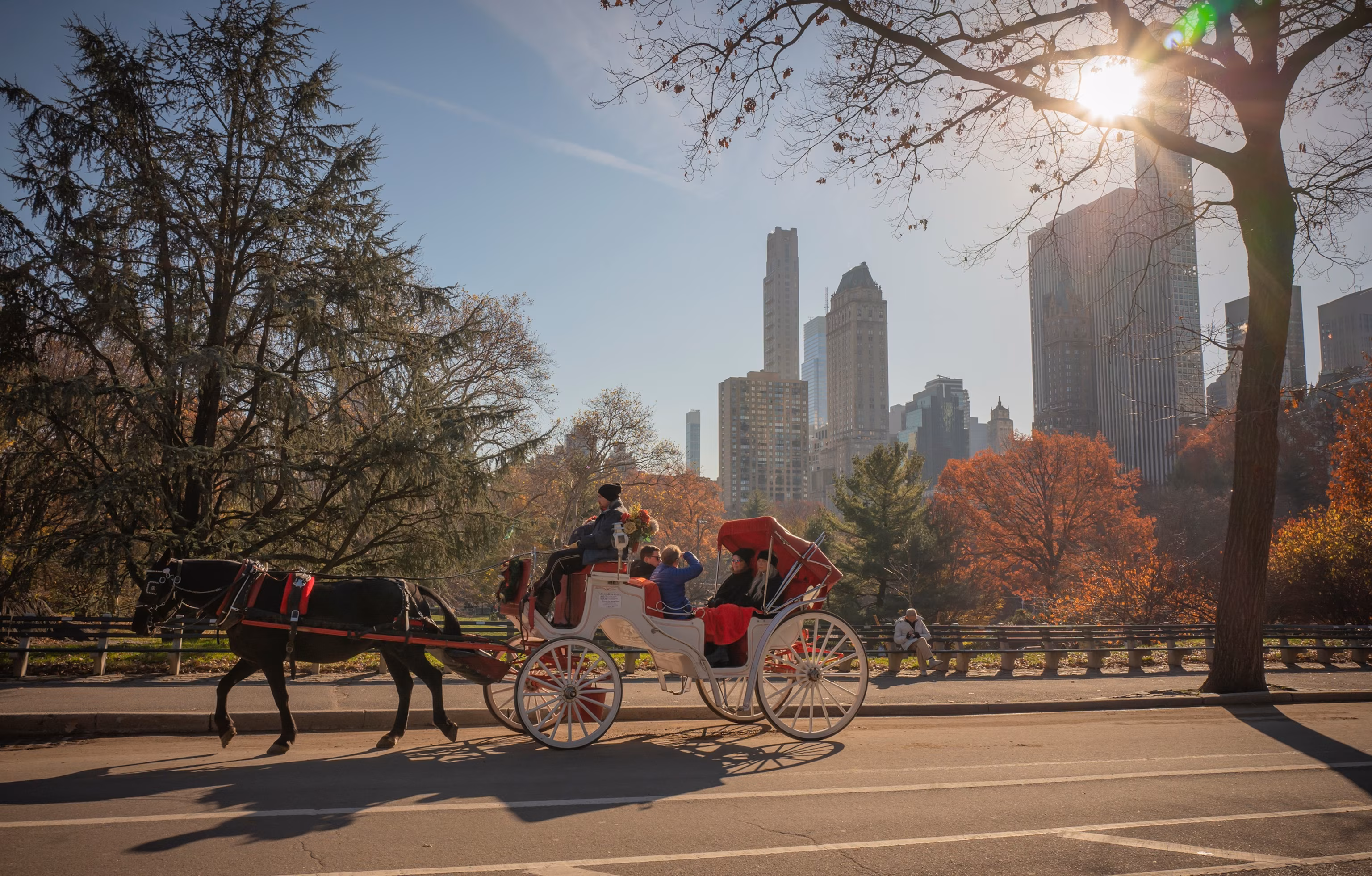 New York City leaders agree to ban horse-drawn carriages by 2028