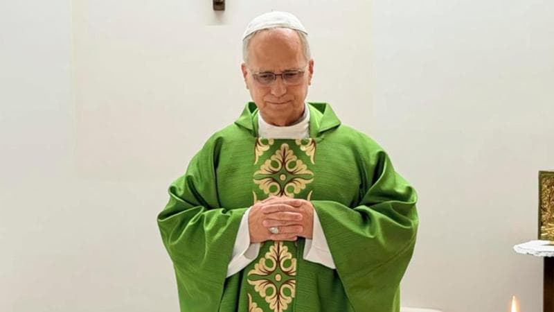Pope Leone XIV asks Putin for truce to aid Oleshky