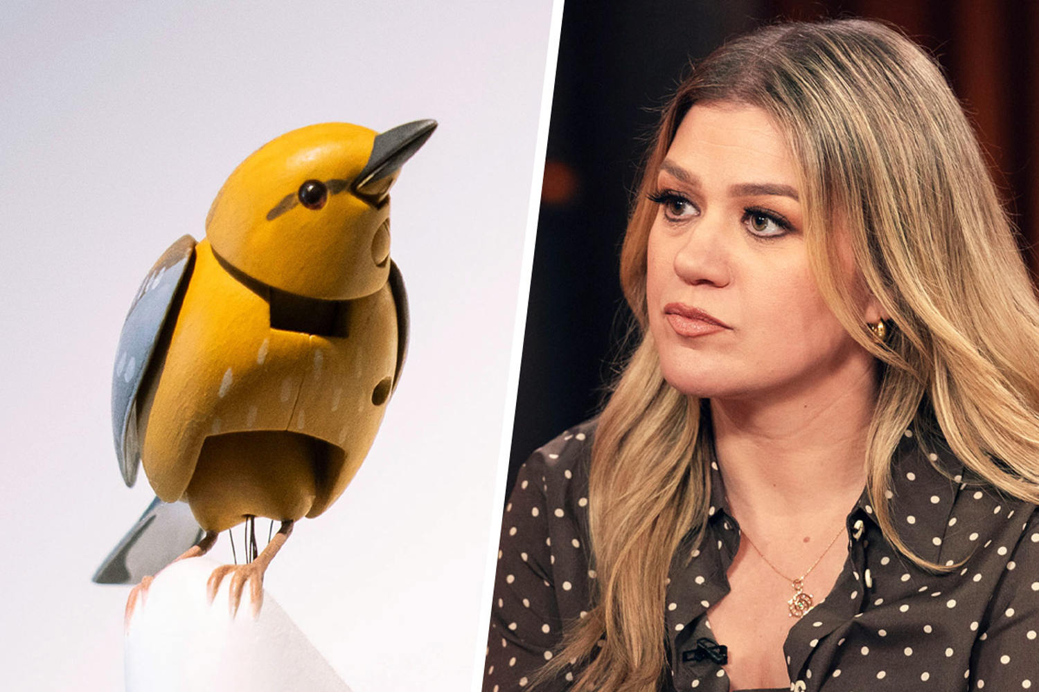 Kelly Clarkson's Brooklyn Store Feud Escalates Over a Mechanical Bird