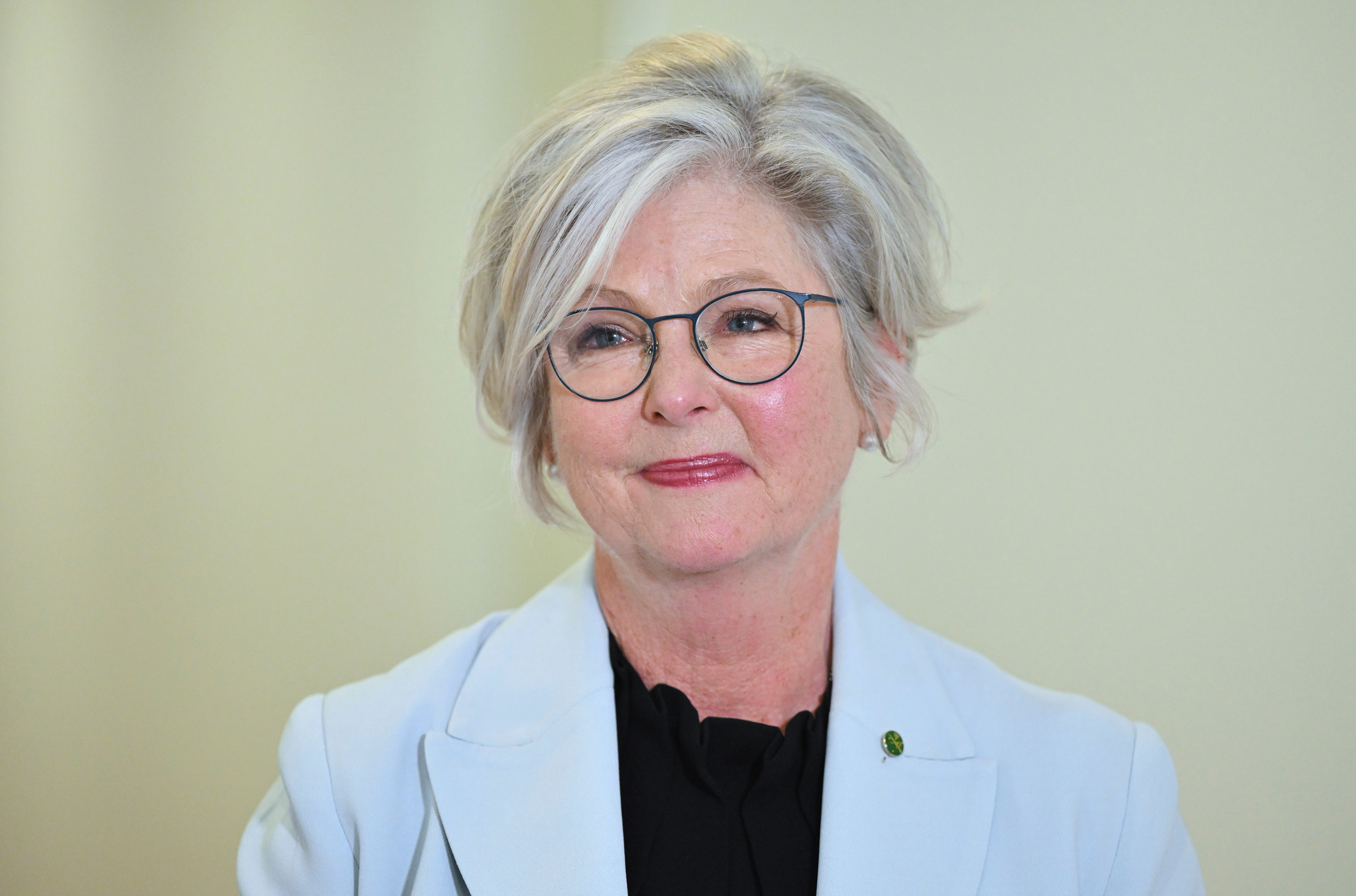 Helen Haines critically injured after car strikes her outside electorate office
