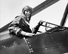 Amelia Earhart expedition ends after suspected plane wreckage proves to be trees
