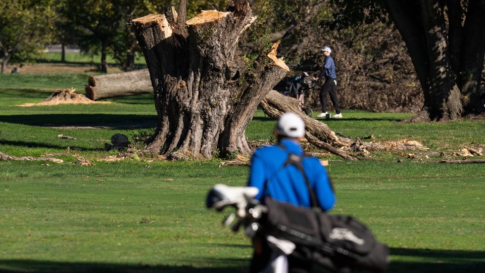 Trump Golf Course Renovation Plan Faces Court Fight Over Tree Clearing
