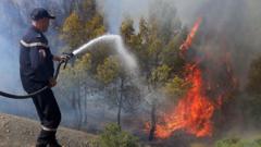 Algeria Wildfires Kill Dozens as President Seeks Death Penalty for Arsonists