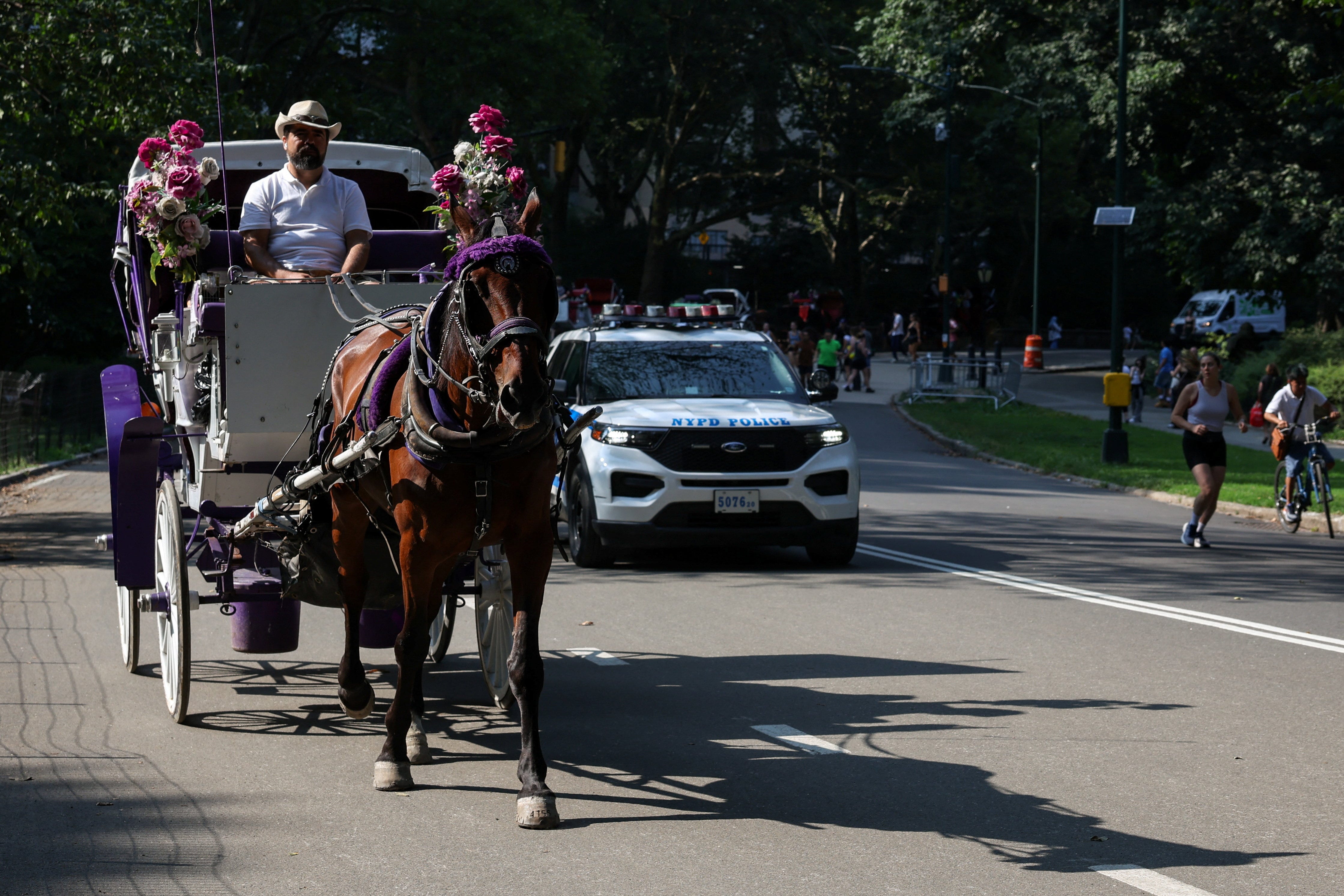 New York City votes to ban horse carriages, with phaseout in 2028