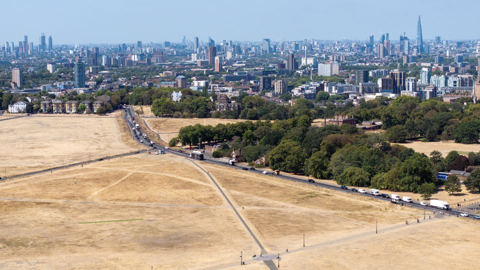 Summer Heat Linked to 50,000 Deaths Across European Cities in 2026