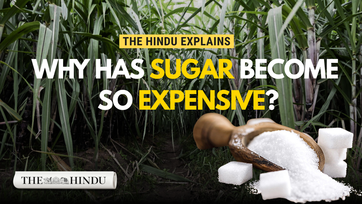 India Faces Sharp Sugar Price Surge Amid Production Drop and Festive Demand