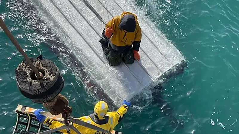 Alaska Teen Survives Three Days on Capsized Boat in Bering Sea